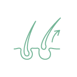 刺激毛囊
